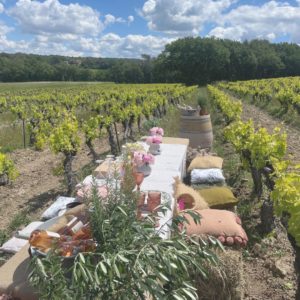Nouvelle vidéo pour les Vins de Provence